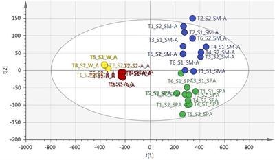 1H-NMR Metabolomics and LC-MS Analysis to Determine Seasonal Variation in a Cosmeceutical Plant Leucosidea sericea